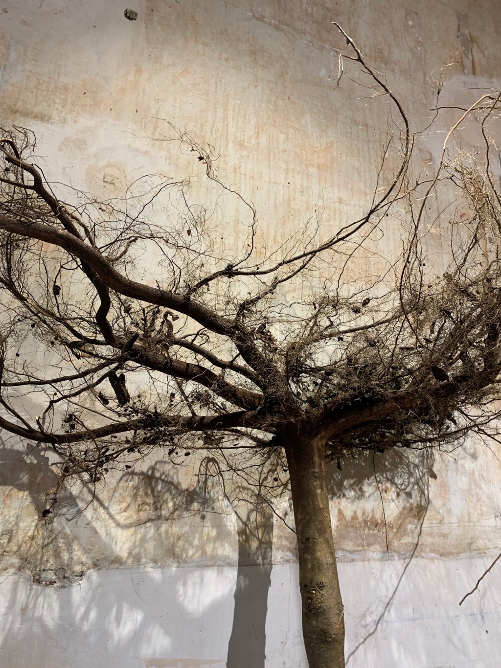 Response: Fallow Land